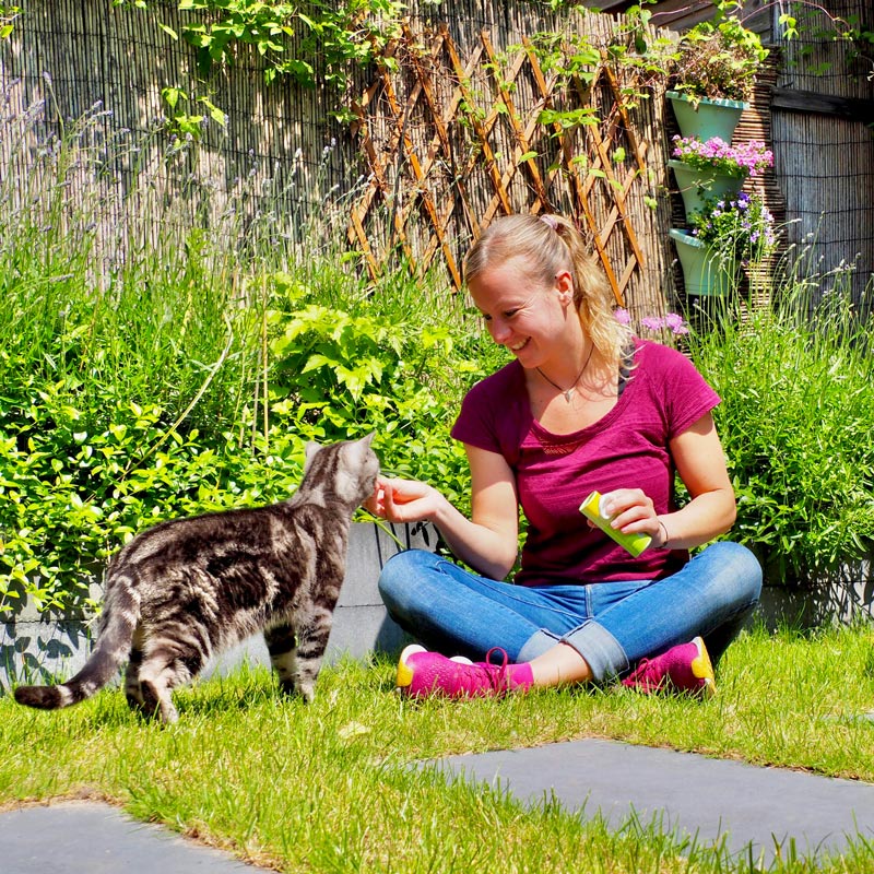 Wat kost een kattenoppas aan huis? | Kattenoppas Nederland