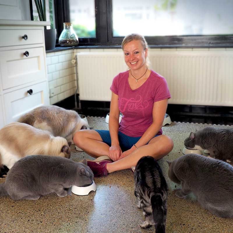 Word Kattenoppas | Kattenoppas aan huis | Kattenoppas Nederland